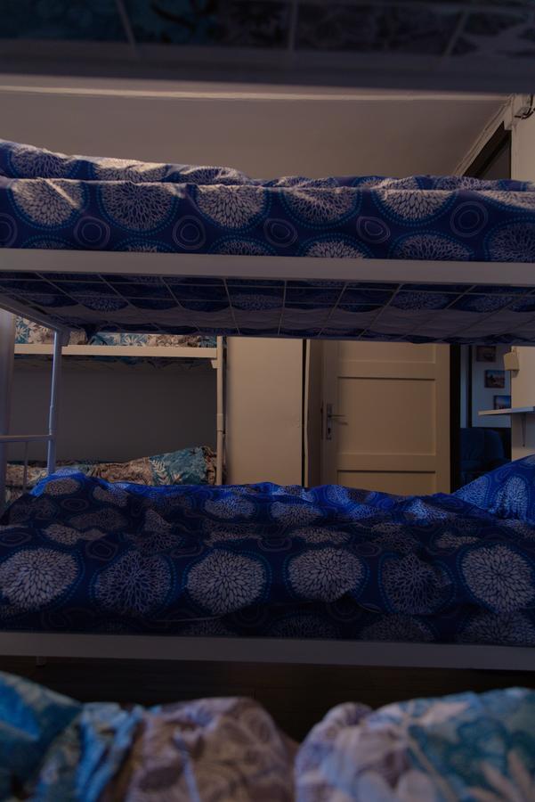 Hostel Belgrade Shungit Dragana Jeftica Br 10 Ngoại thất bức ảnh